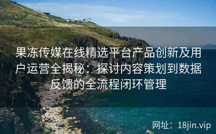 果冻传媒在线精选平台产品创新及用户运营全揭秘：探讨内容策划到数据反馈的全流程闭环管理