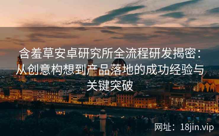 含羞草安卓研究所全流程研发揭密：从创意构想到产品落地的成功经验与关键突破