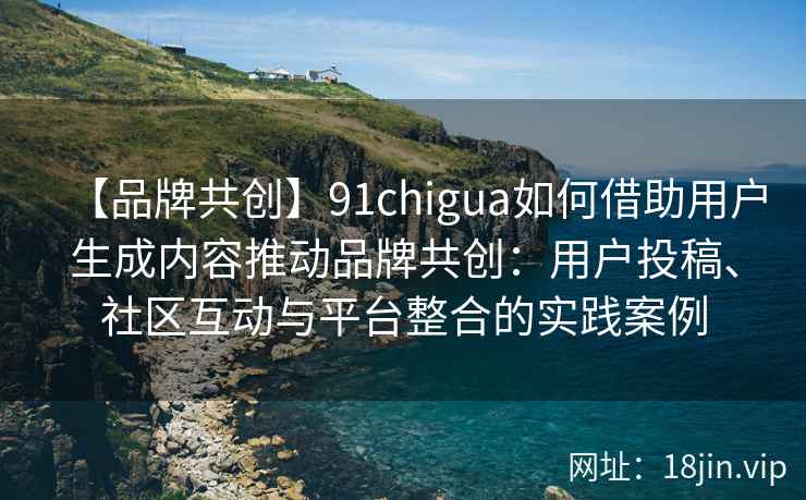 【品牌共创】91chigua如何借助用户生成内容推动品牌共创：用户投稿、社区互动与平台整合的实践案例
