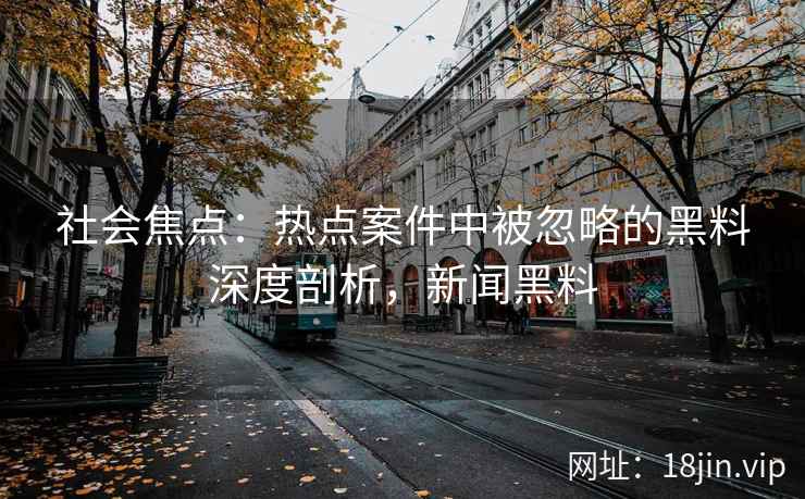 社会焦点：热点案件中被忽略的黑料深度剖析，新闻黑料