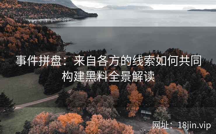 事件拼盘：来自各方的线索如何共同构建黑料全景解读
