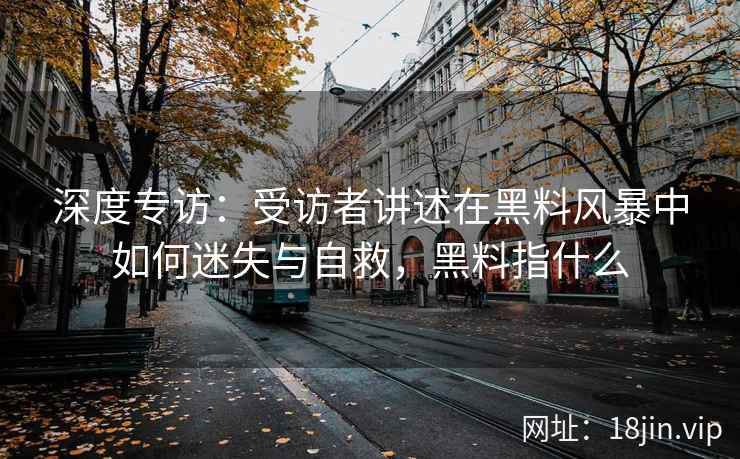 深度专访：受访者讲述在黑料风暴中如何迷失与自救，黑料指什么