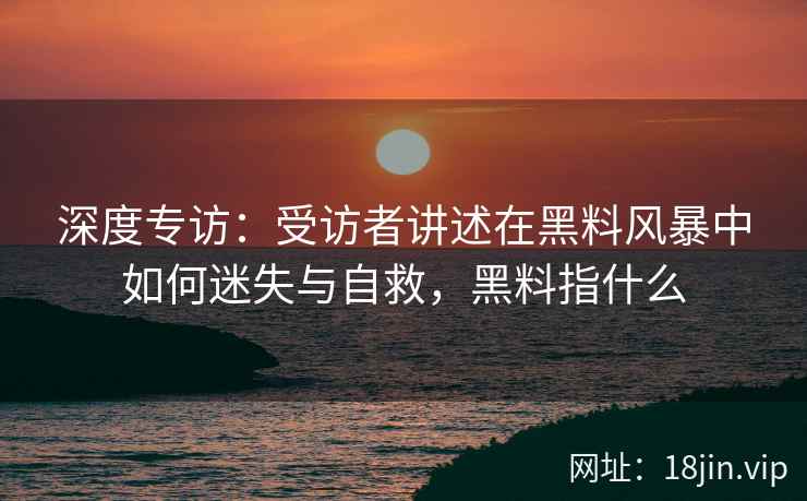深度专访：受访者讲述在黑料风暴中如何迷失与自救，黑料指什么