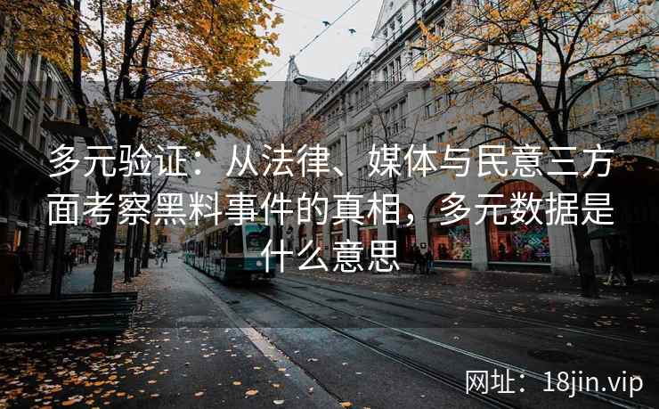 多元验证：从法律、媒体与民意三方面考察黑料事件的真相，多元数据是什么意思